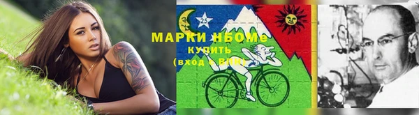 альфа пвп Новодвинск