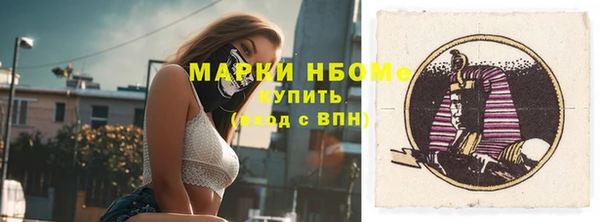 крисы Новозыбков