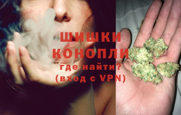 spice Абаза