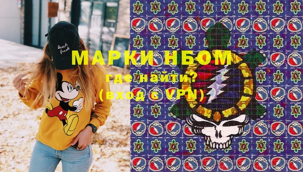 эйфоретик Новокубанск