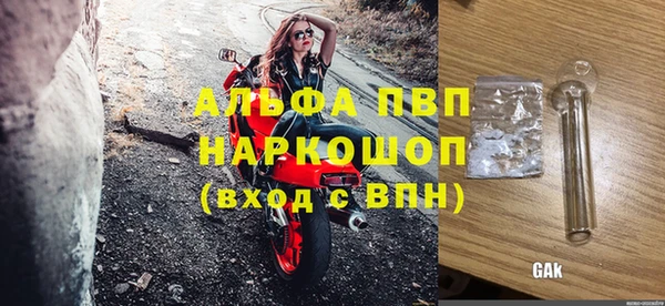 крисы Новозыбков